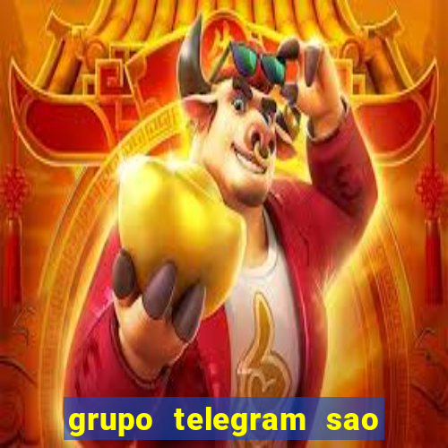 grupo telegram sao jose do rio preto